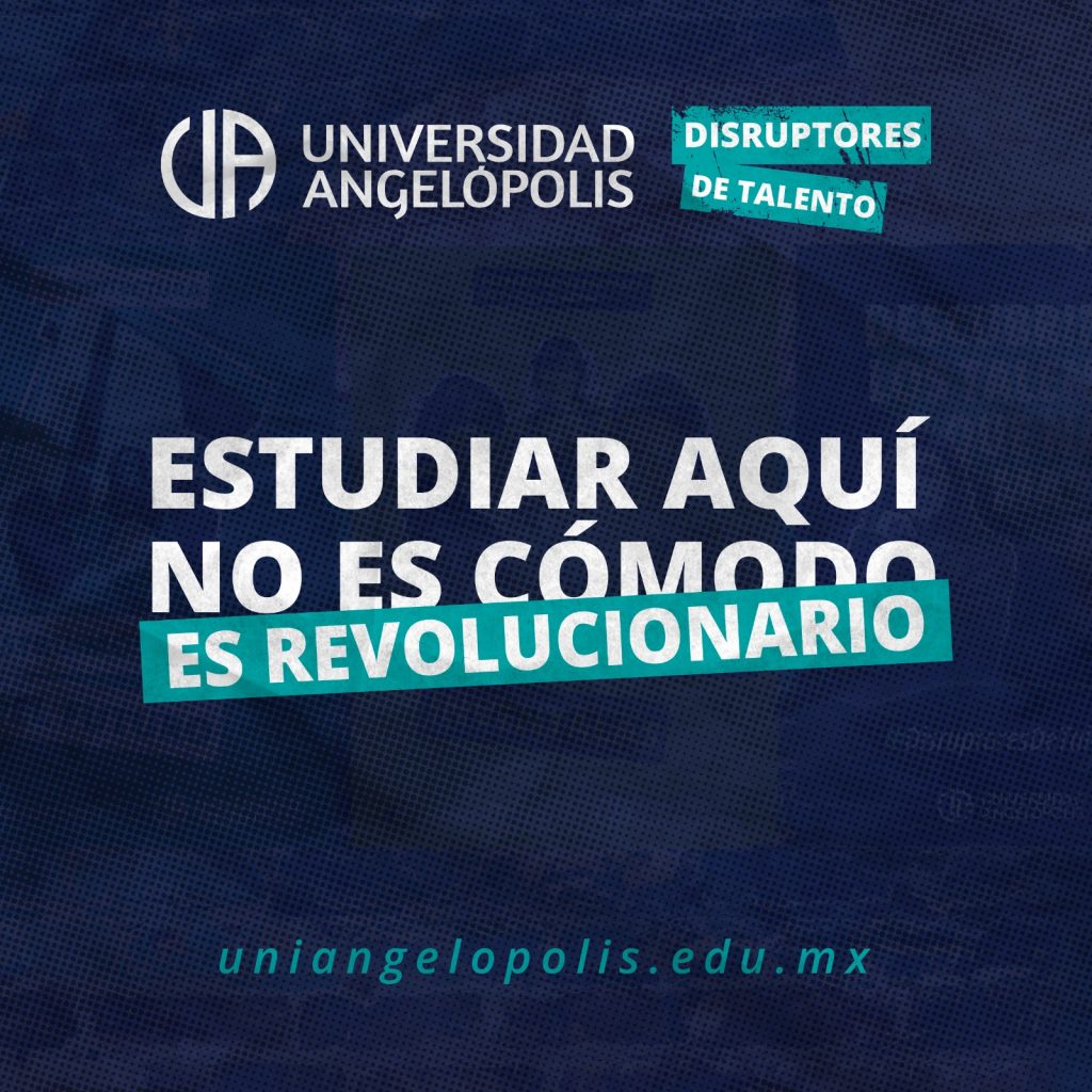 whatsapp image 2025 09 29 at 12.39.09